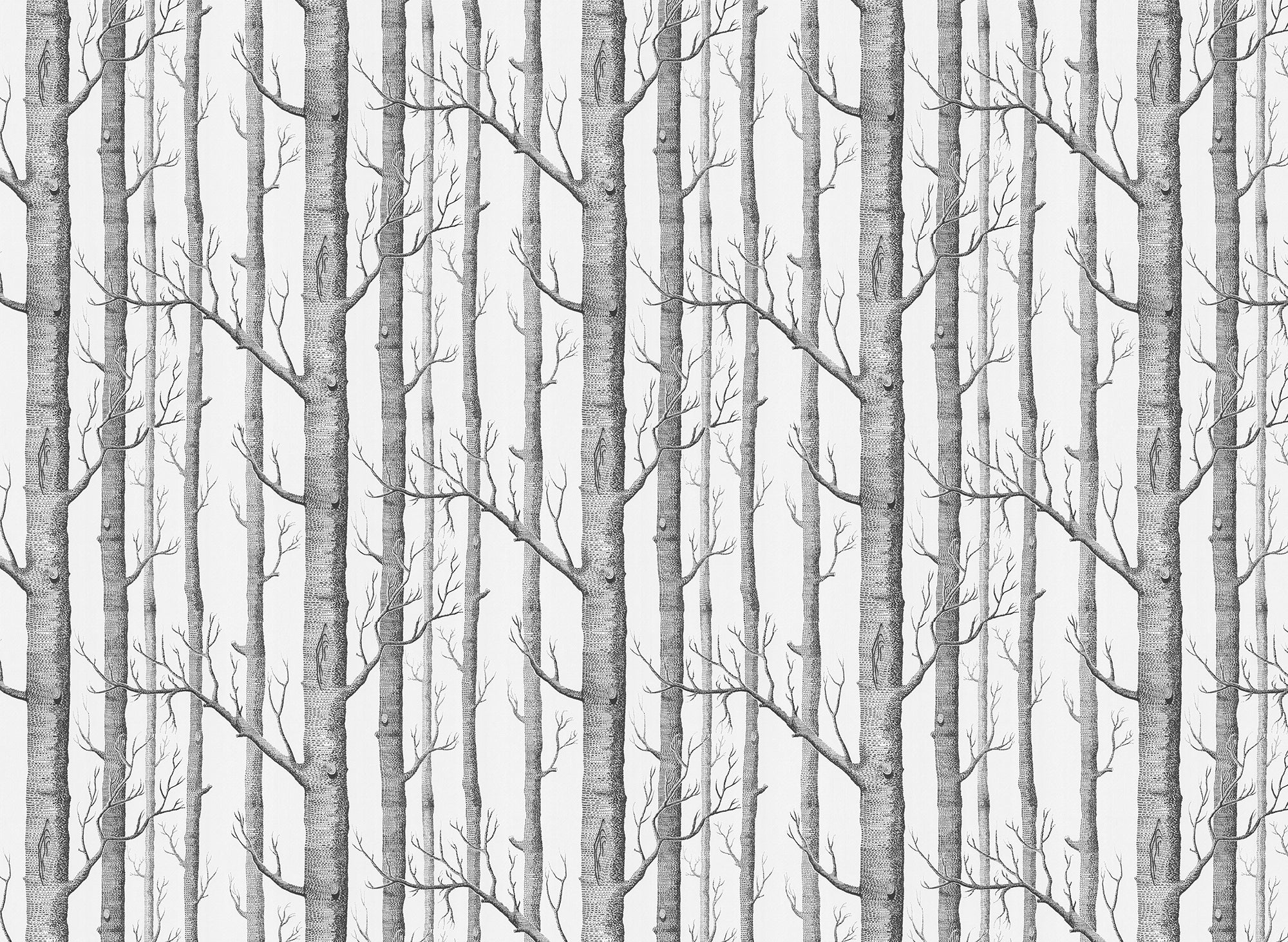 Black &amp; White Woodland Wallpaper