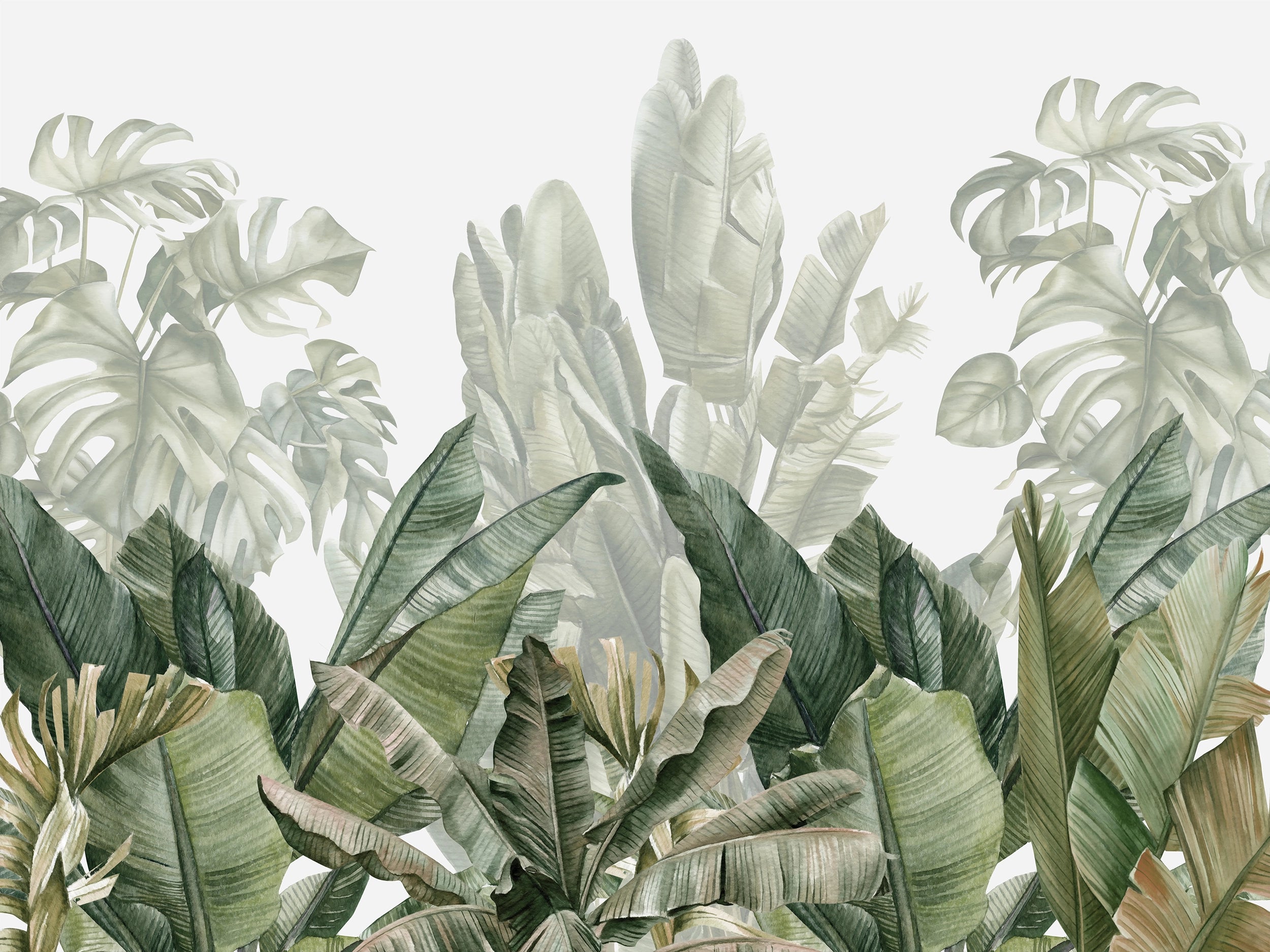 Banana tree wallpaper