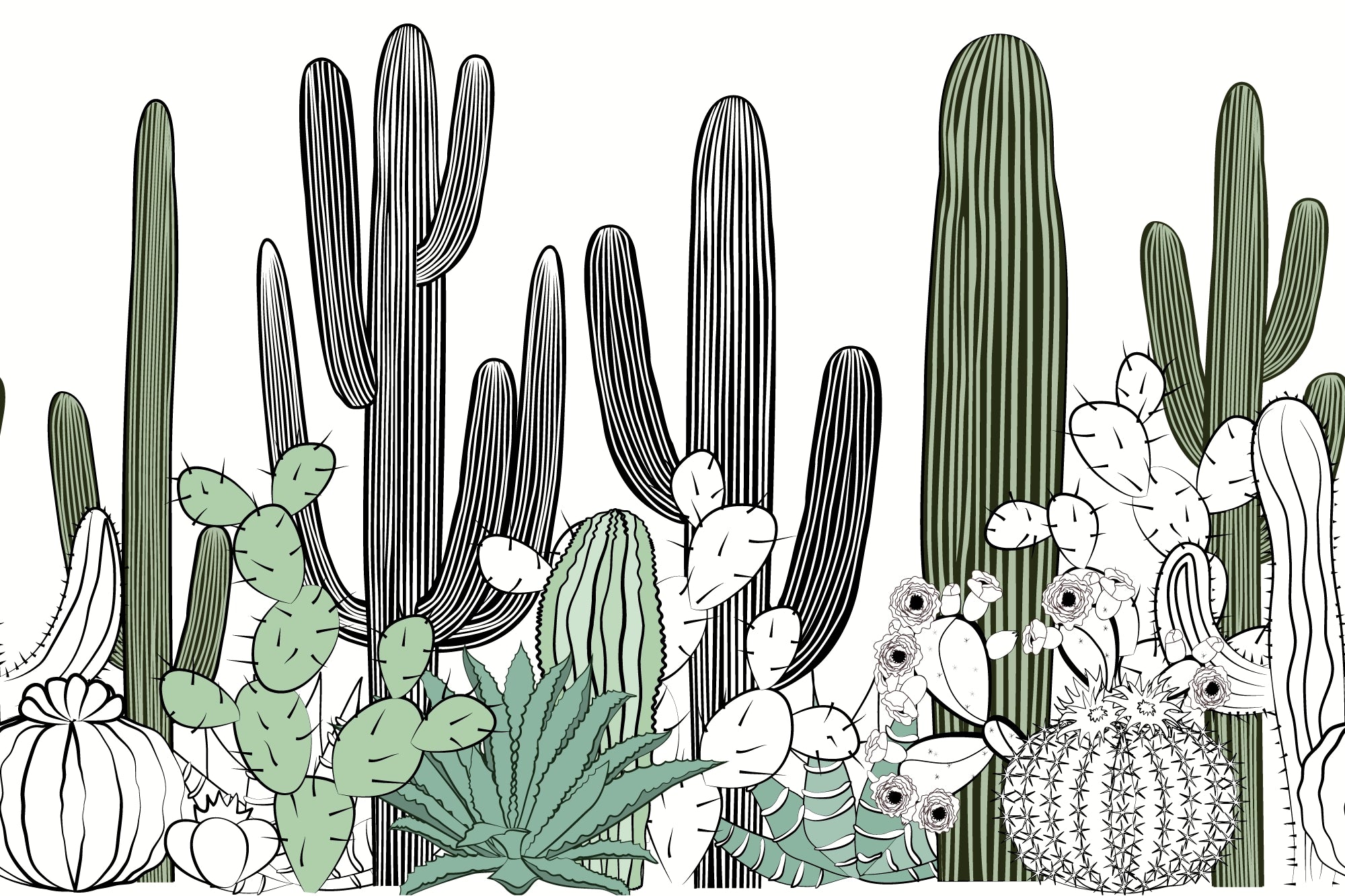 Cactus panoramic wallpaper