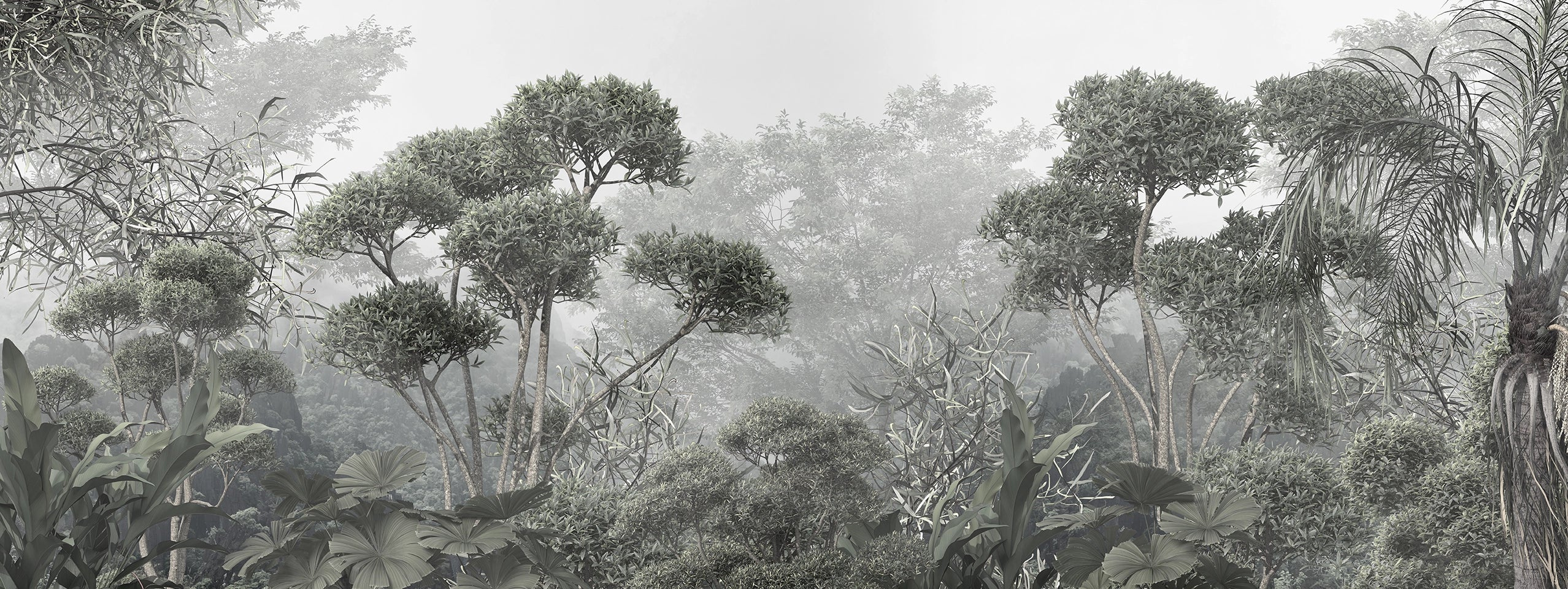 Custom-made panoramic wallpaper dense forest