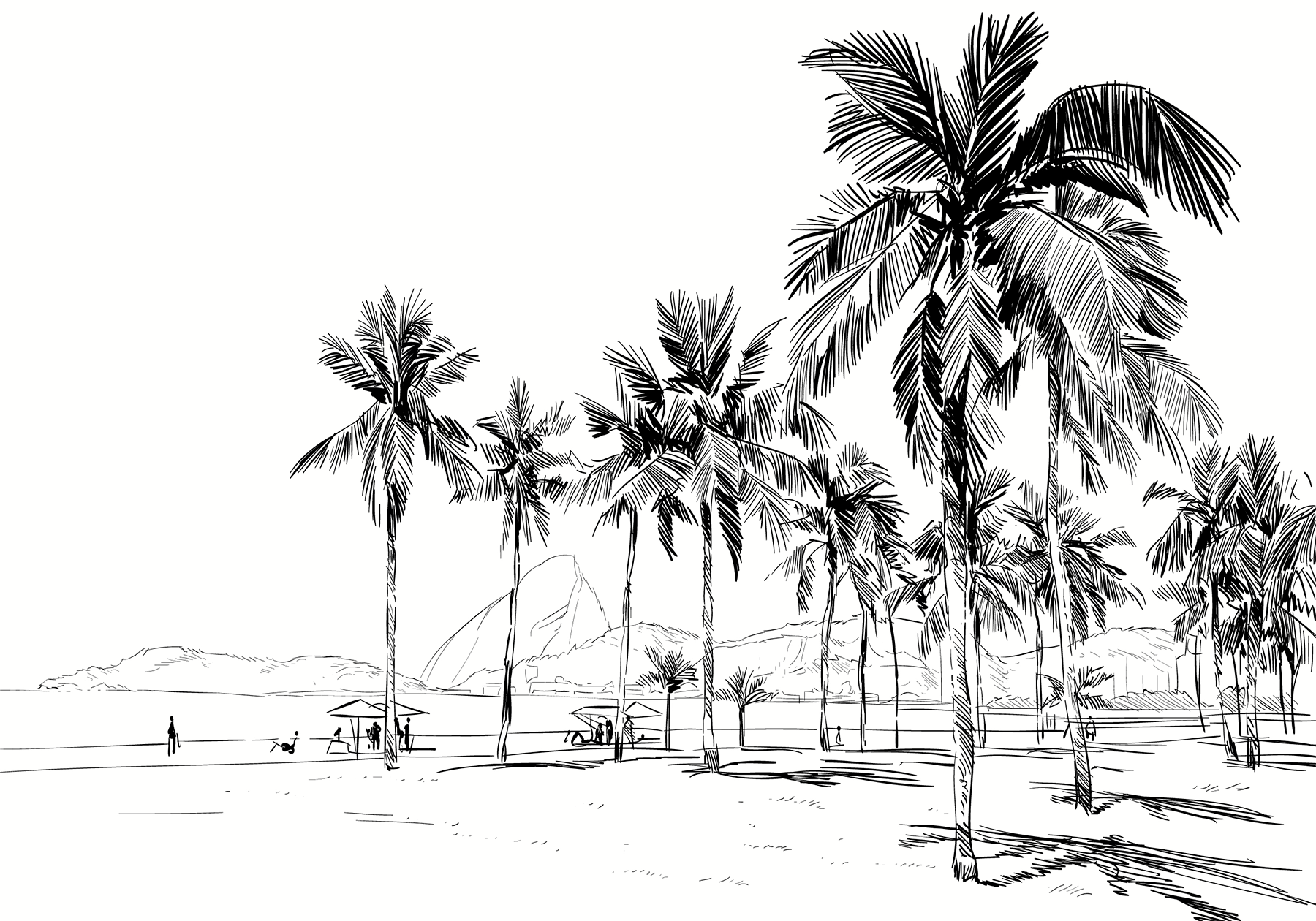 Black & White Palm Beach Wallpaper