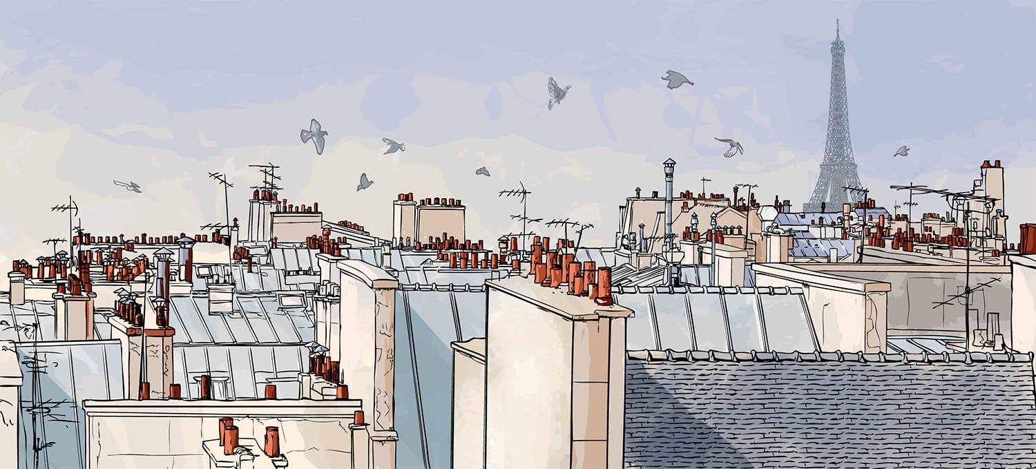 Panoramic Wallpaper Roof of Paris