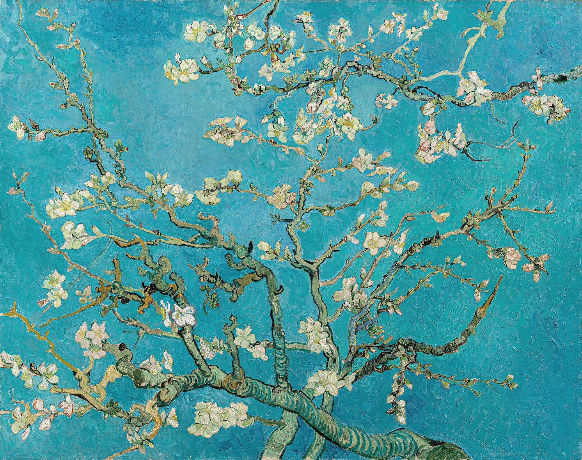 Van Gogh Blossoming Almond Tree Wallpaper