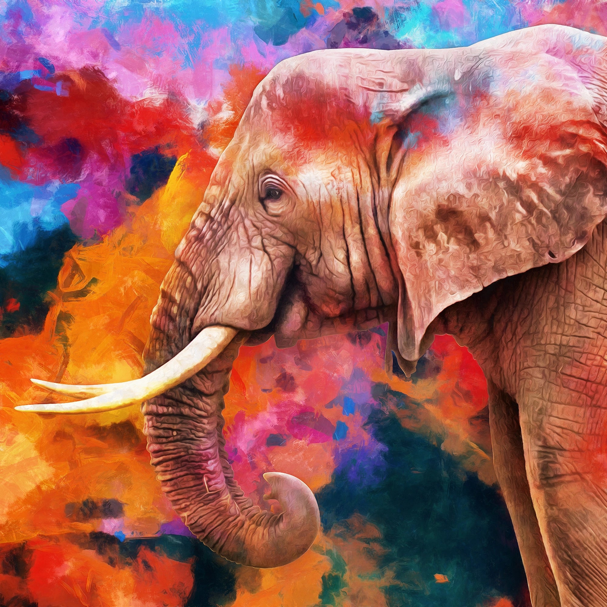 Multicolored Elephant Wallpaper