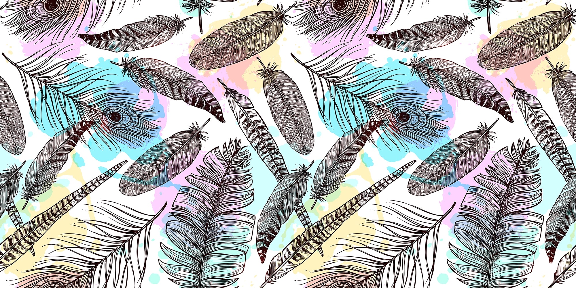 Panoramic wallpaper colorful feathers