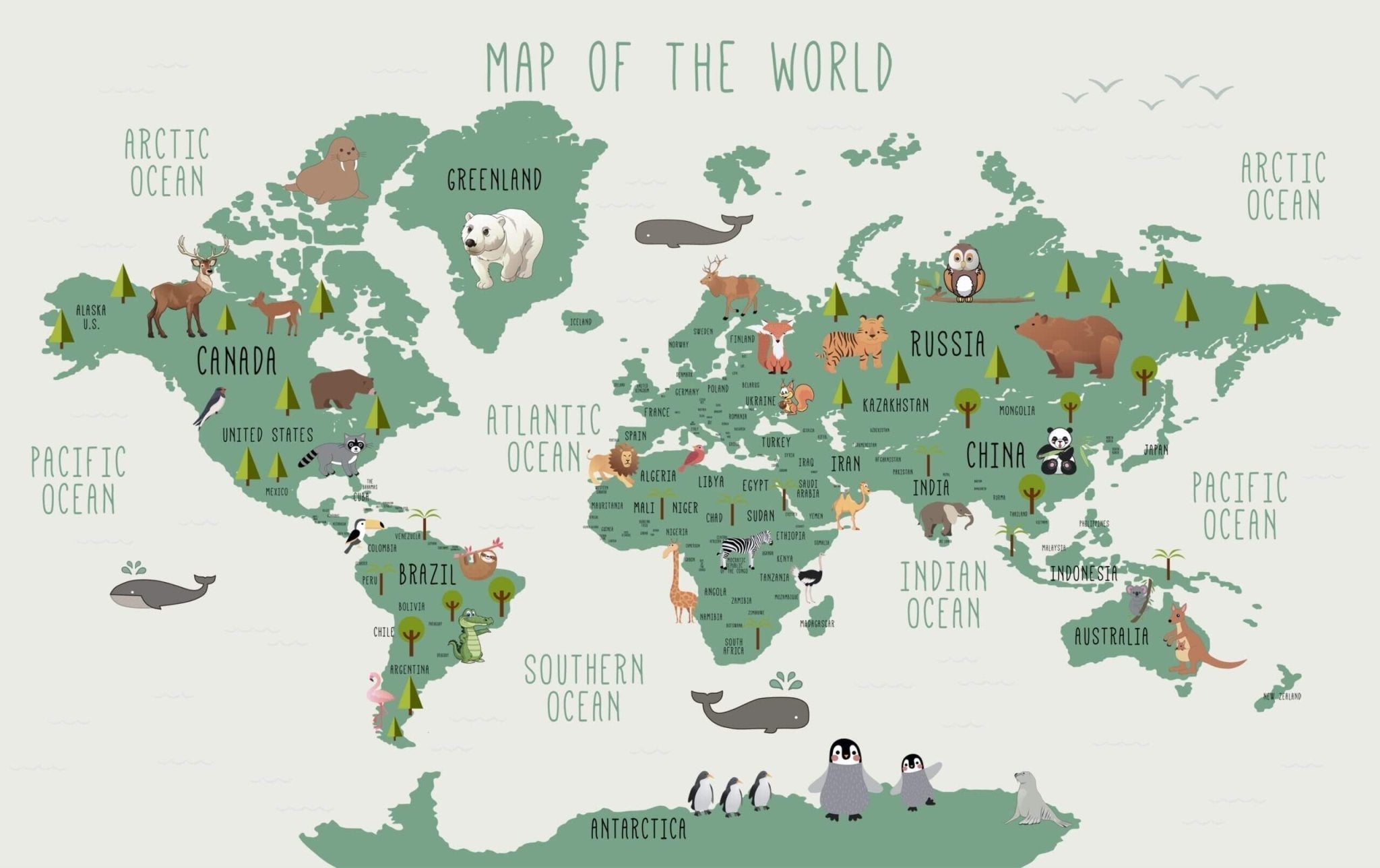 Décor mural panoramique carte du monde verte