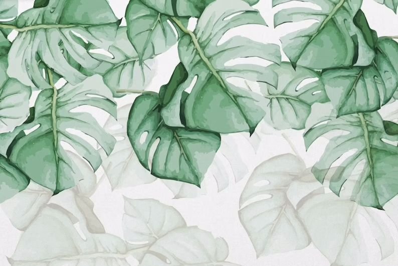 Fresque murale feuille de monstera