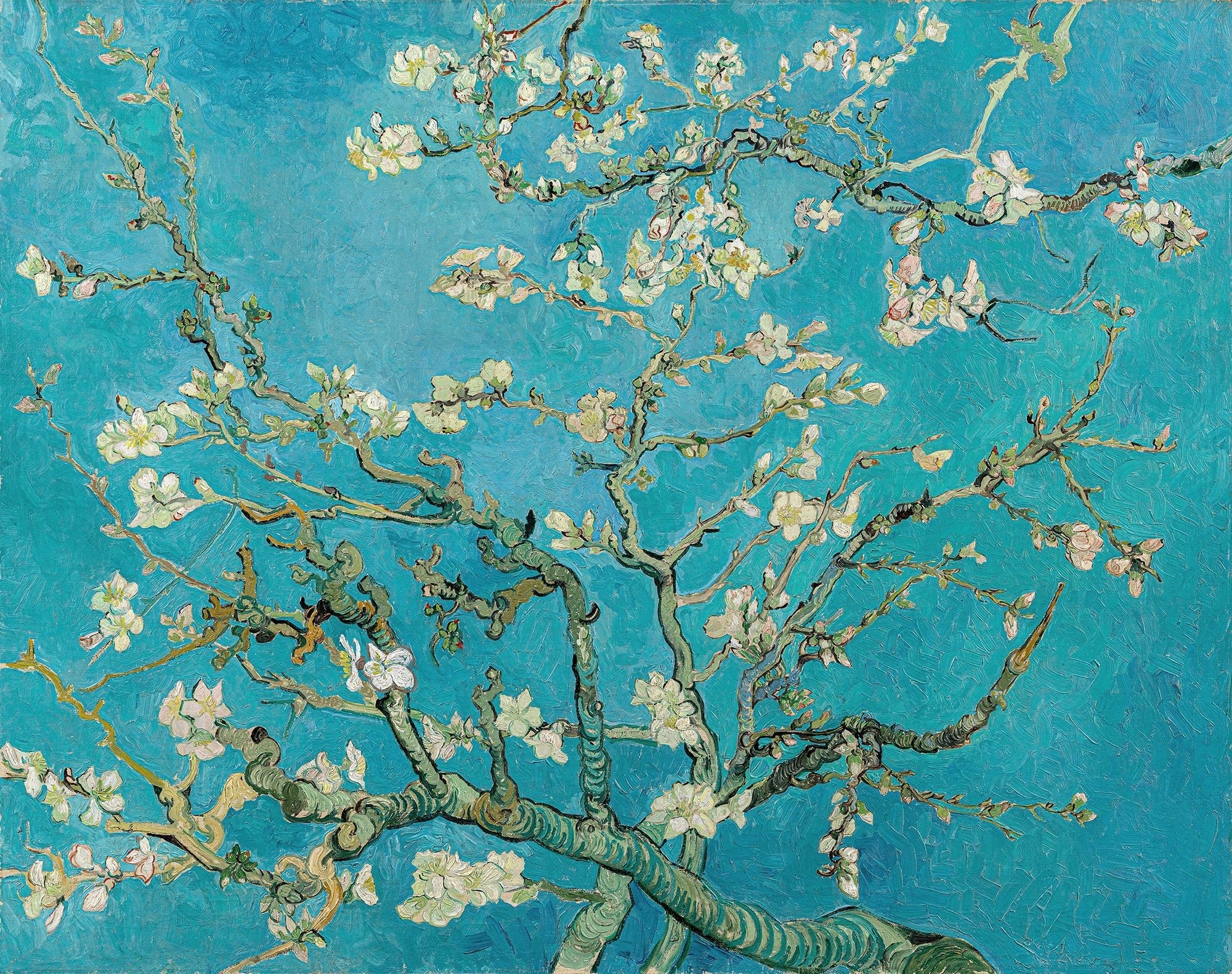 Papier peint Amandier en fleurs Van Gogh - Kam et Léon