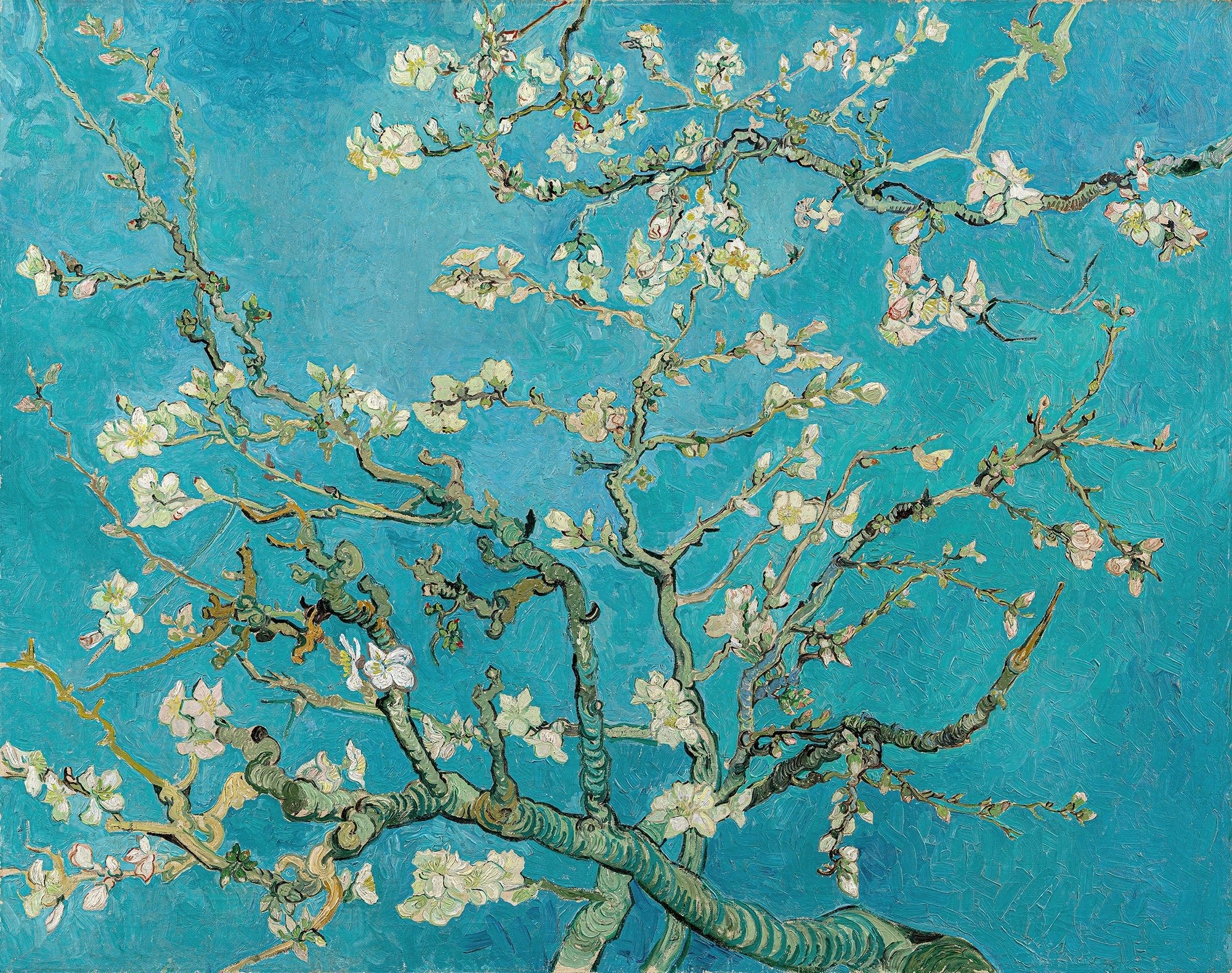 Papier peint Amandier en fleurs Van Gogh