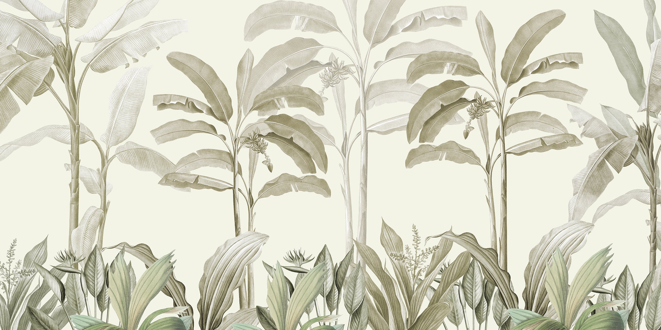 Papier Peint Bananier aux Nuances de Vert Serenity