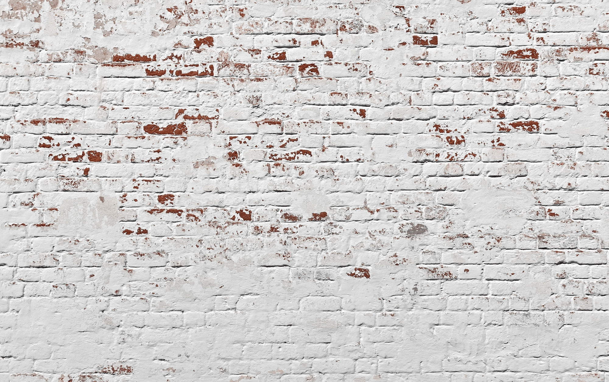Papier peint briques blanches