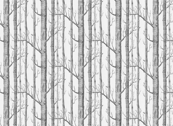 Papier Peint Dans Les Bois Noir & Blanc - Kam et Léon