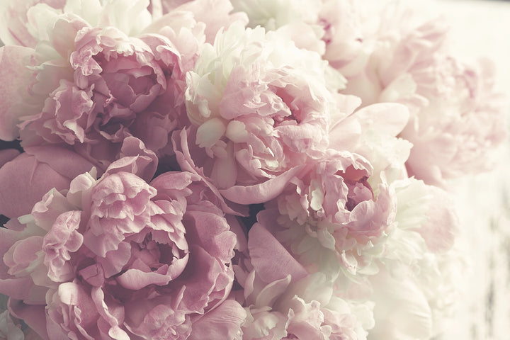 Papier Peint Élégance Florale