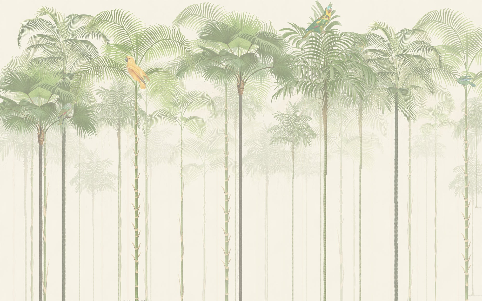 Carta da parati di fuga esotica sotto le palme