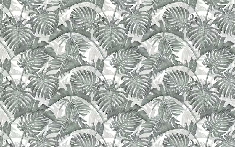 Papier peint feuille de monstera deliciosa - Kam & Leon