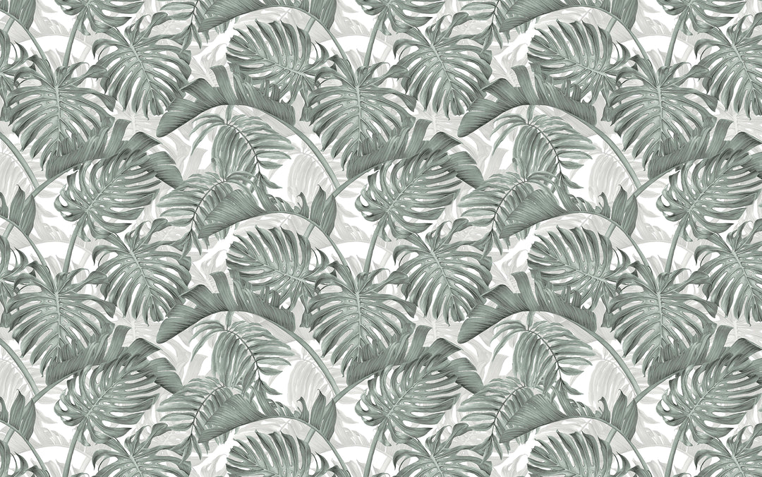 Papier peint feuille de monstera deliciosa