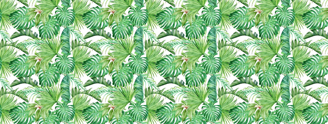 Papier peint feuille de palmier et monstera - Kam et Léon