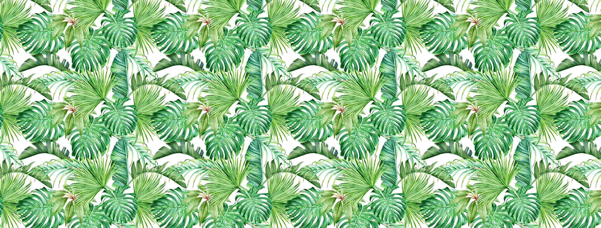 Papier peint feuille de palmier et monstera