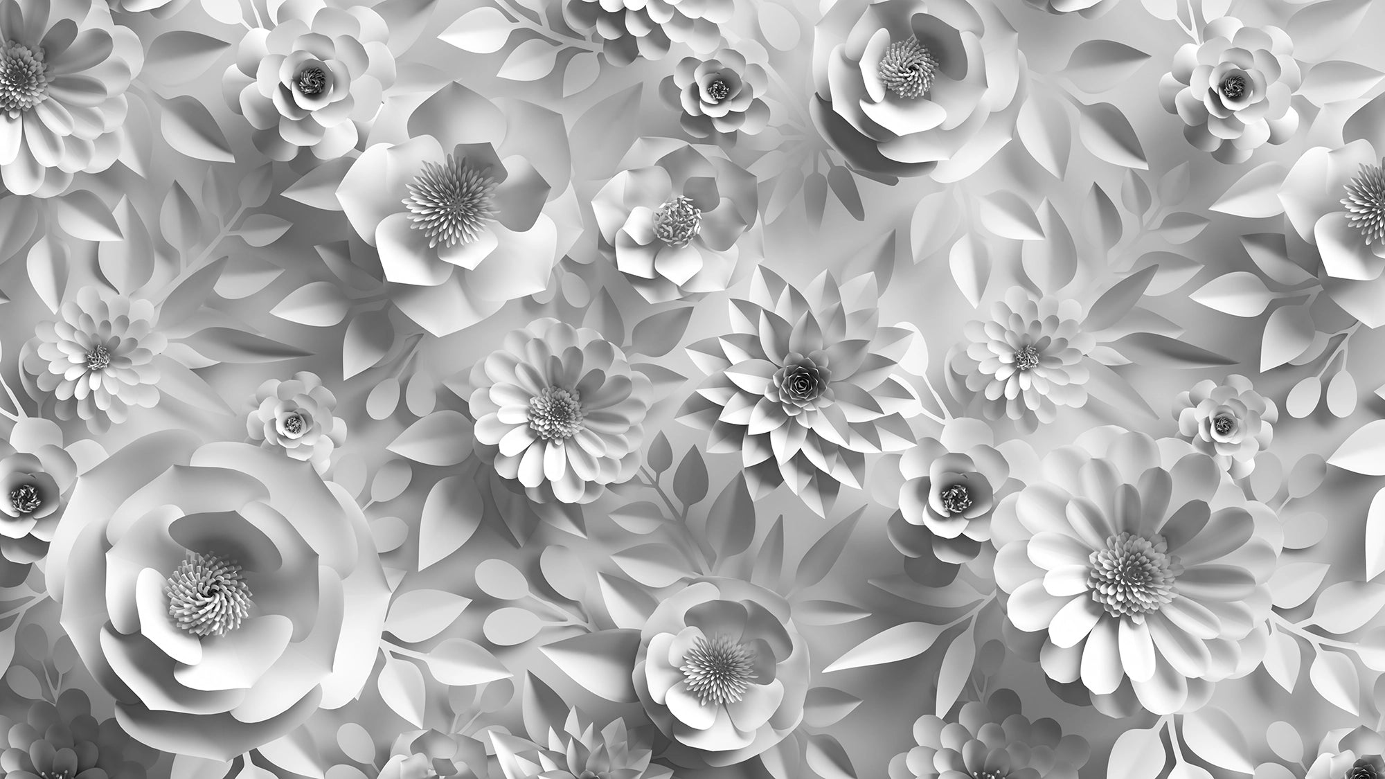 Papier peint Fleur Blanche 3D