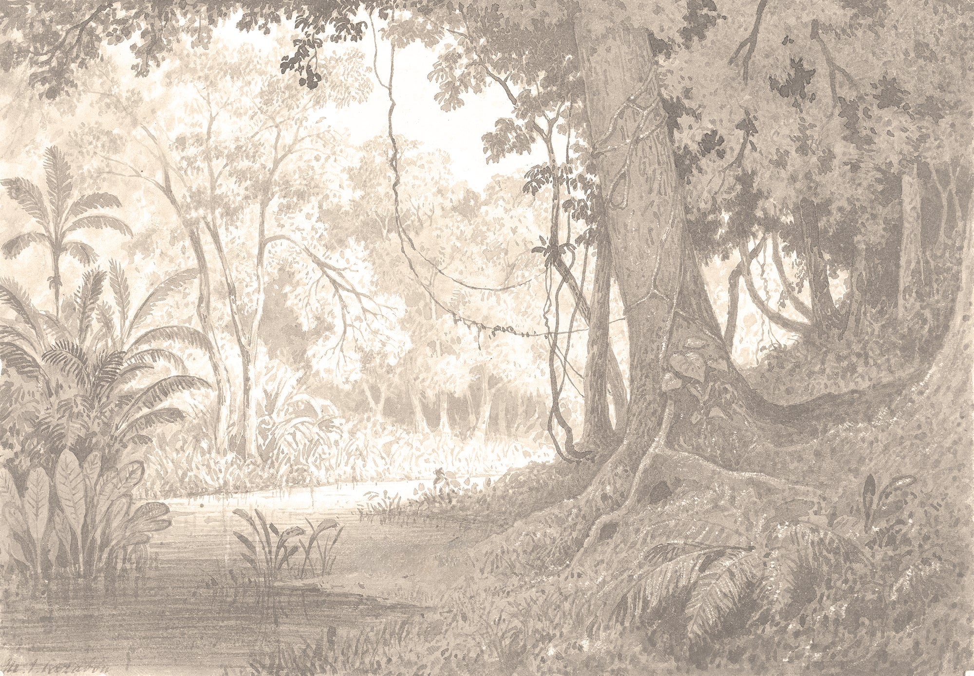 Antique Forest Wallpaper