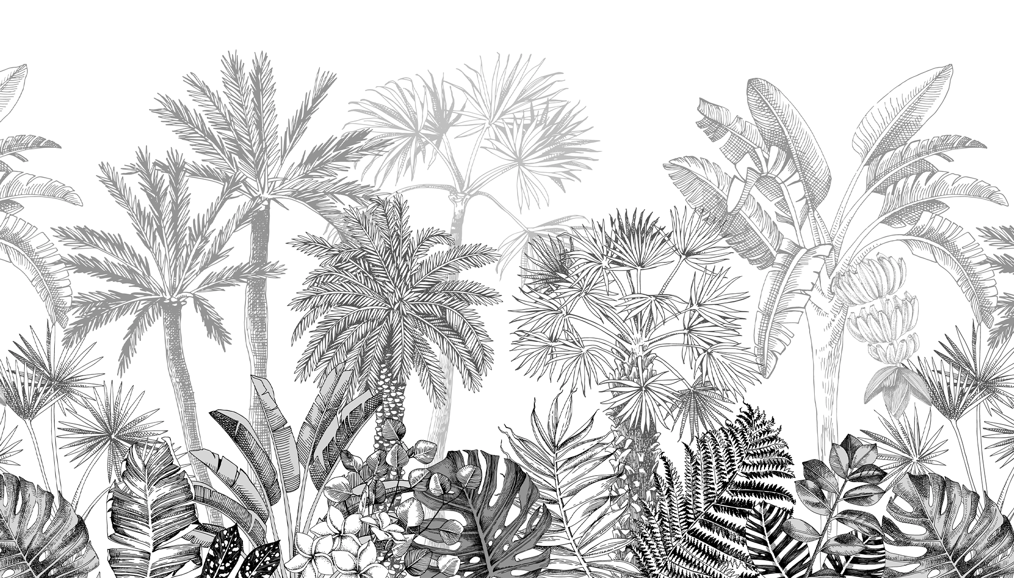 Carta da parati della foresta tropicale in bianco e nero