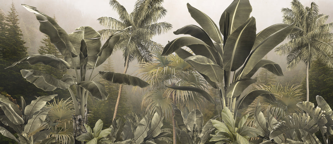 Luxuriant Tropical Forest Wallpaper 