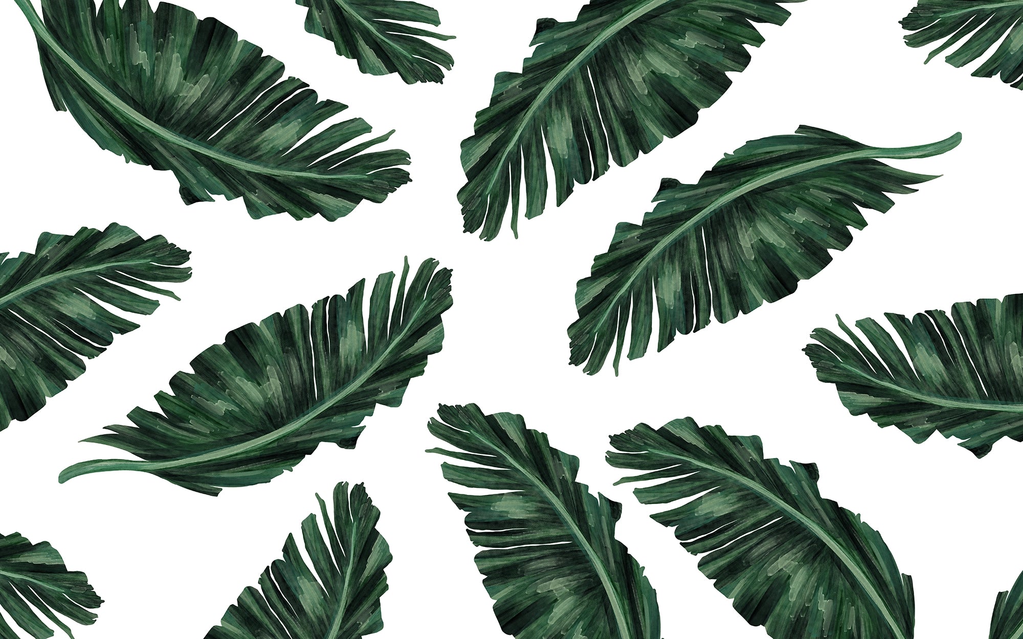 Large tropical leaves wallpaper