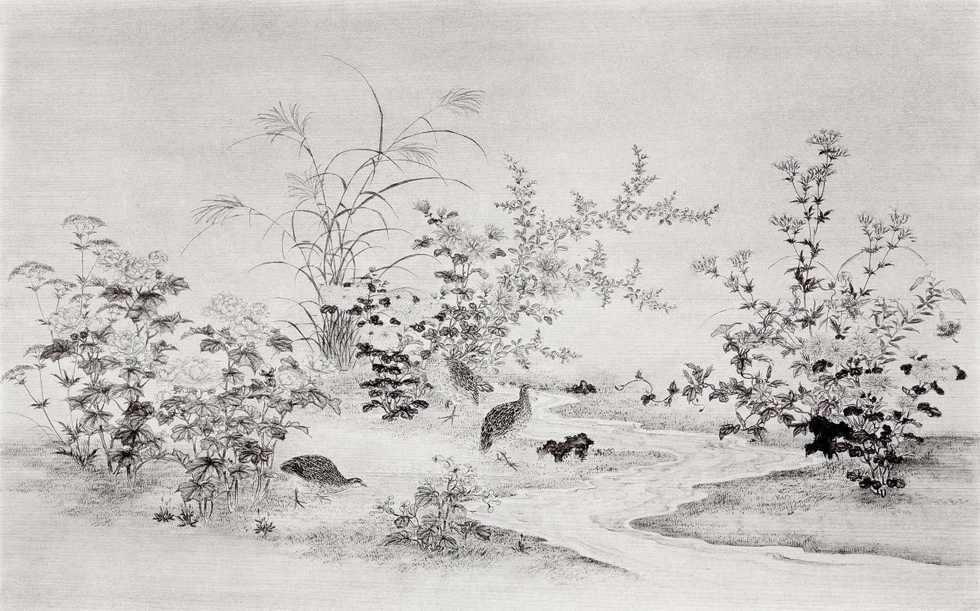 Wallpaper Garden by the Water's Edge 