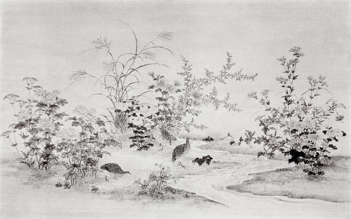 Wallpaper Garden by the Water's Edge 