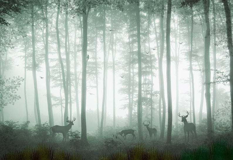 Fondo de pantalla de bosque de ciervos