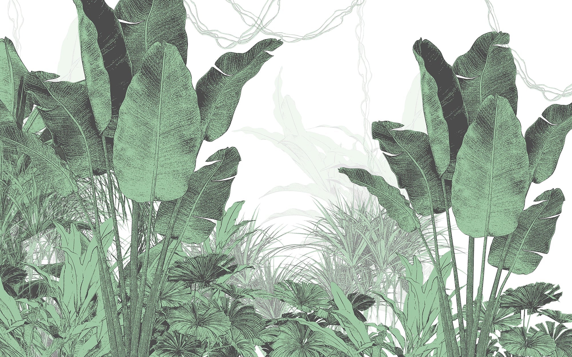 Papier peint panoramique arbres tropicaux