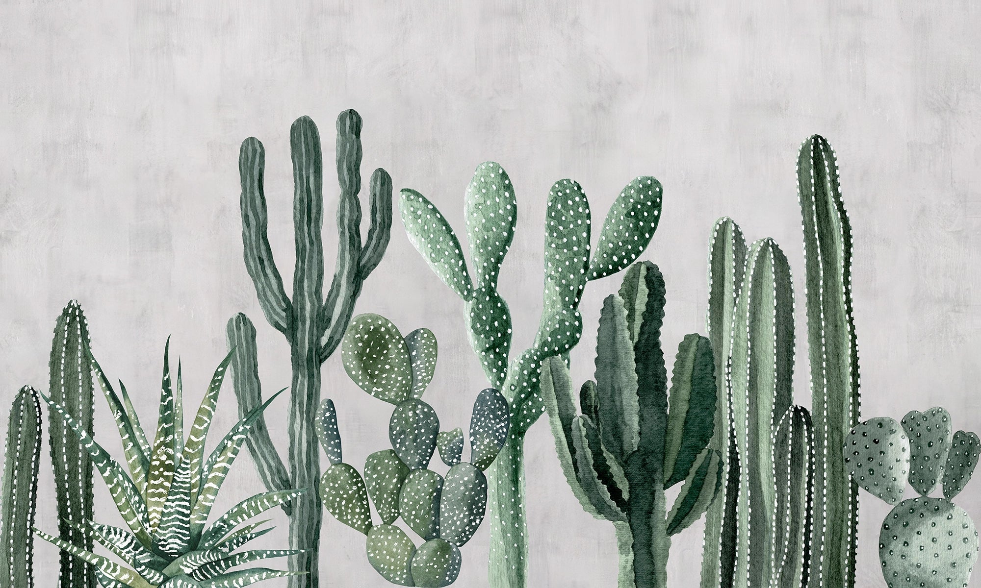 Papier peint panoramique Cactus Illustrés