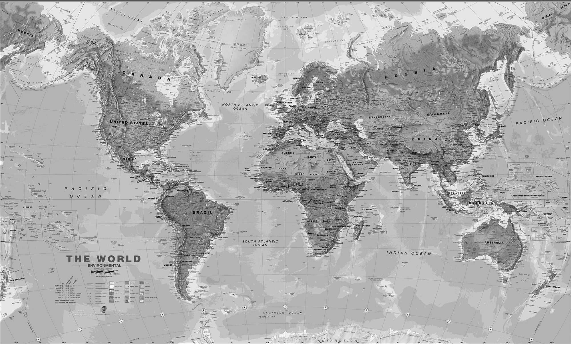 Grey world map panoramic wallpaper