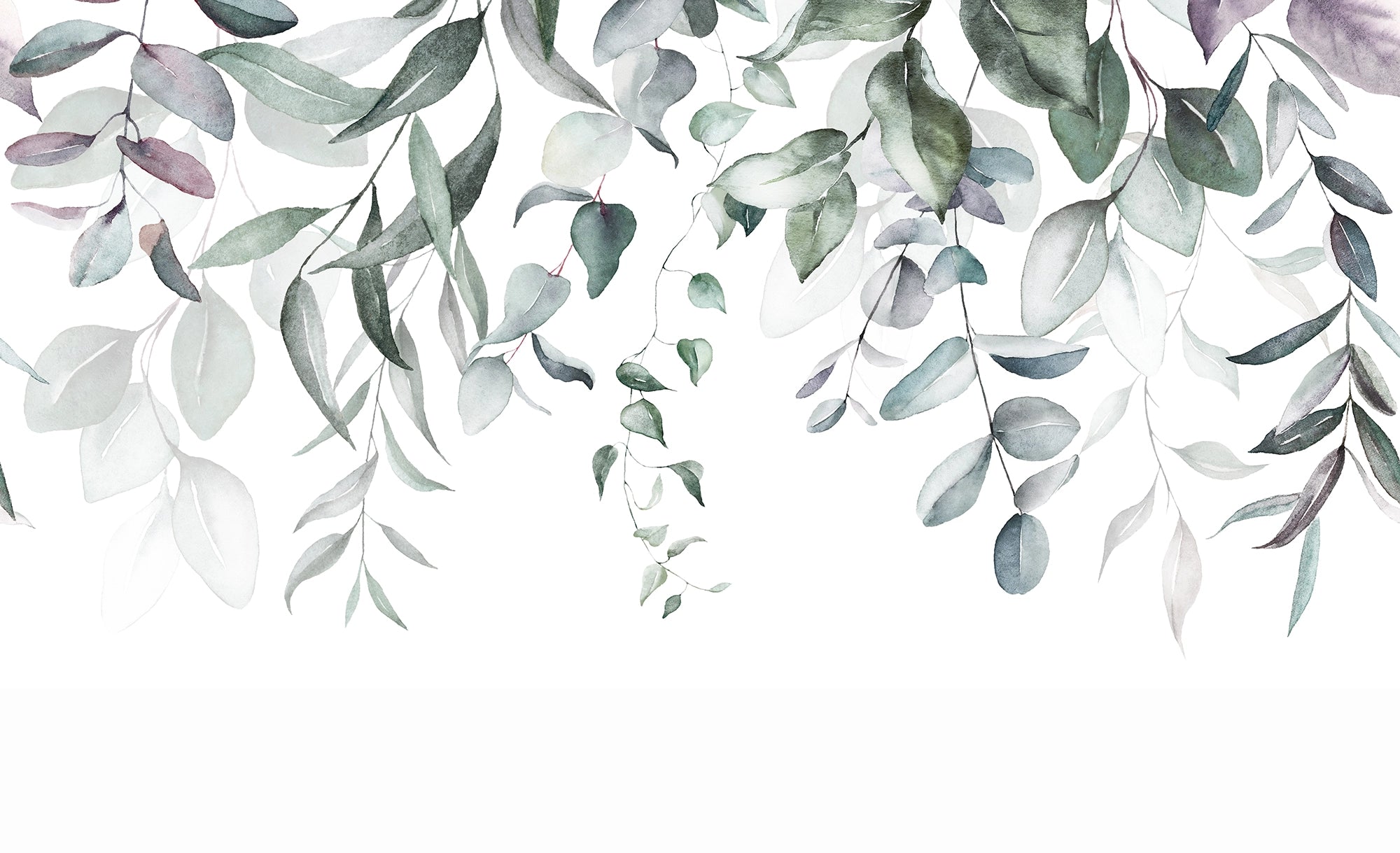 Eukalyptus -Panoramabläufe Aquarell
