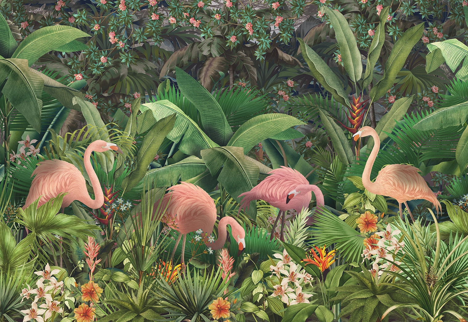 Papel pintado panorámico Flamencos Tropicales 