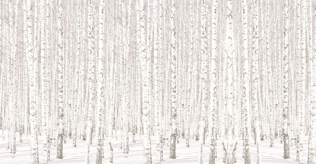 Panoramic wallpaper Birch Forest in Scandinavian style 