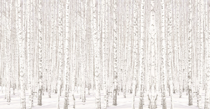 Panoramic wallpaper Birch Forest in Scandinavian style 