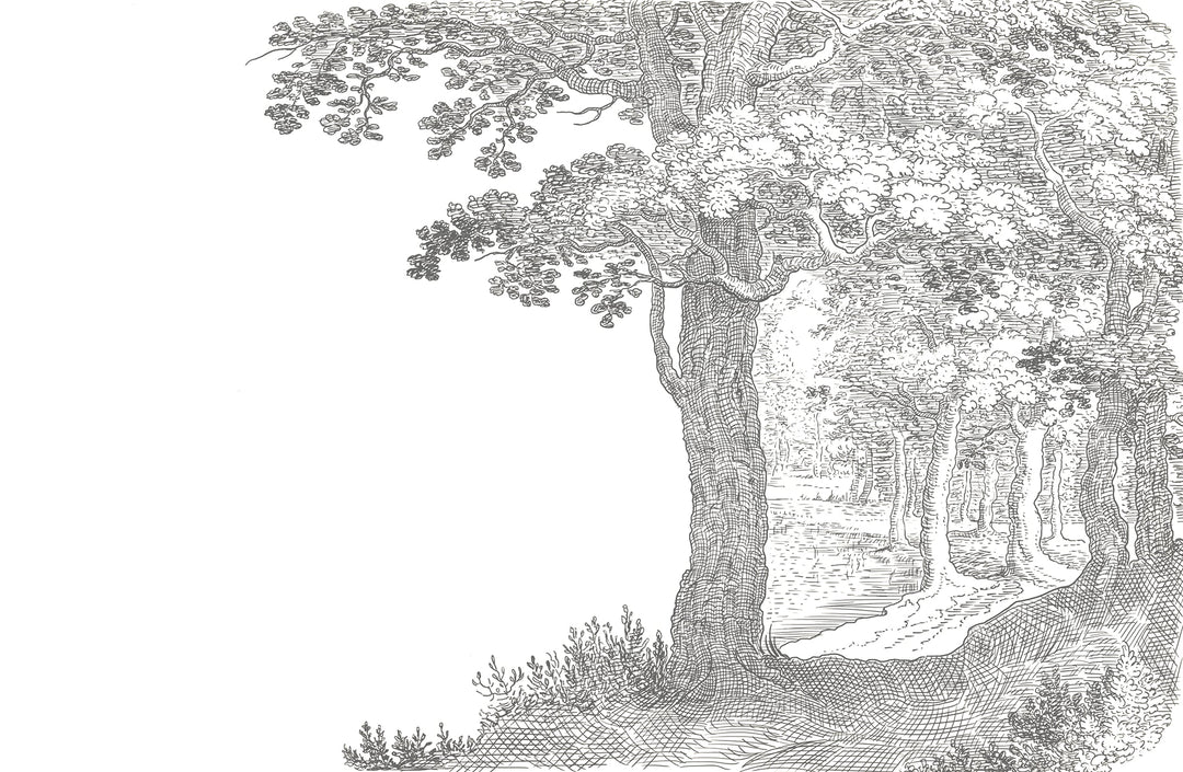 Papier Peint Panoramique Forêt Intemporelle - Kam et Léon