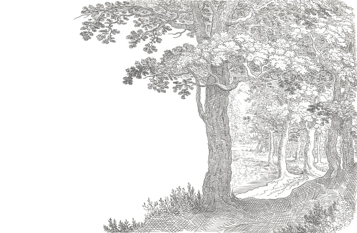 Papier Peint Panoramique Forêt Intemporelle - Kam et Léon