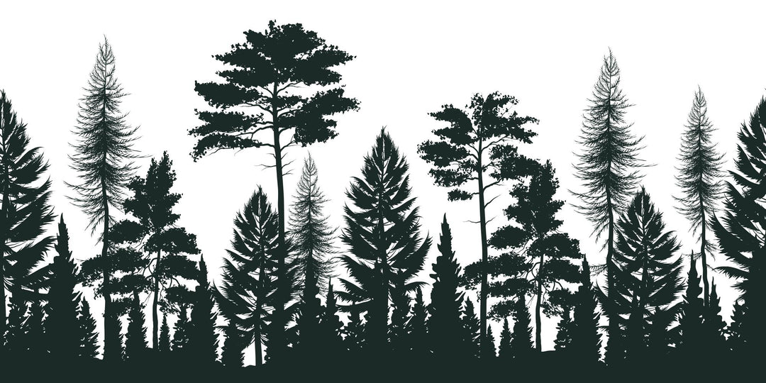 Panorama-Wald-Illustrationstapete