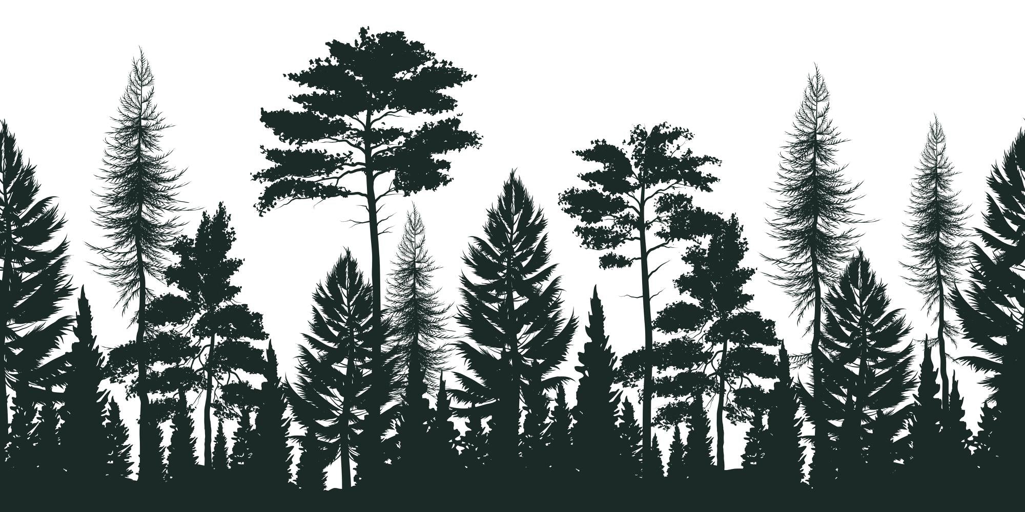 Panorama-Wald-Illustrationstapete