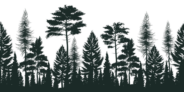 Panorama-Wald-Illustrationstapete