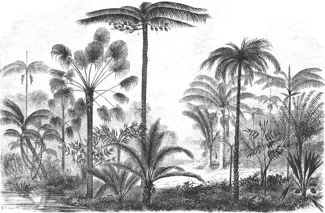 Papier peint Panoramique Jungle Black & White - Kam et Léon