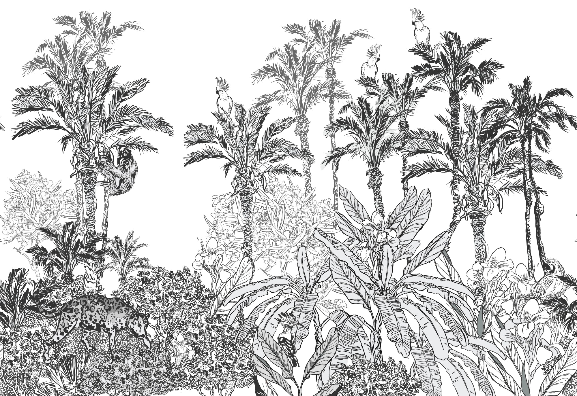 Papier Peint Panoramique Jungle en Noir et Blanc - Paysage Exotique Illustré