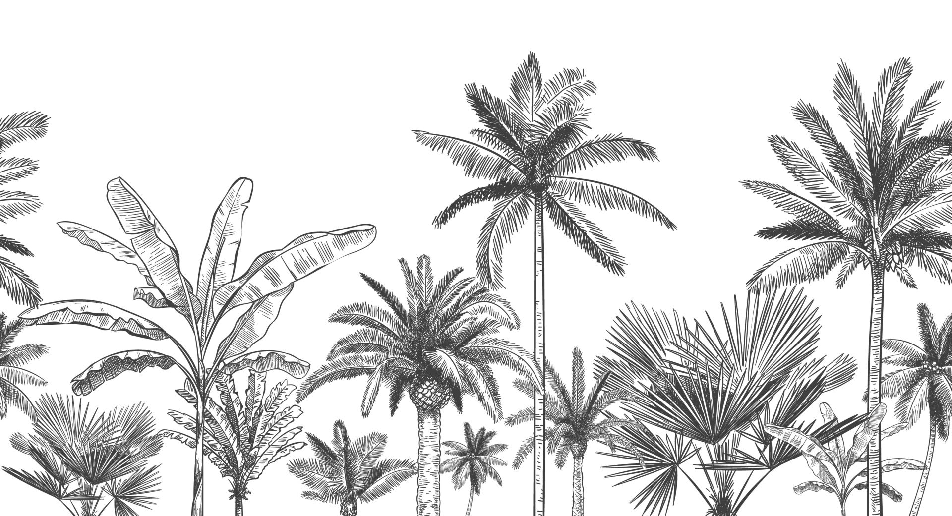 Papier peint panoramique jungle graphique