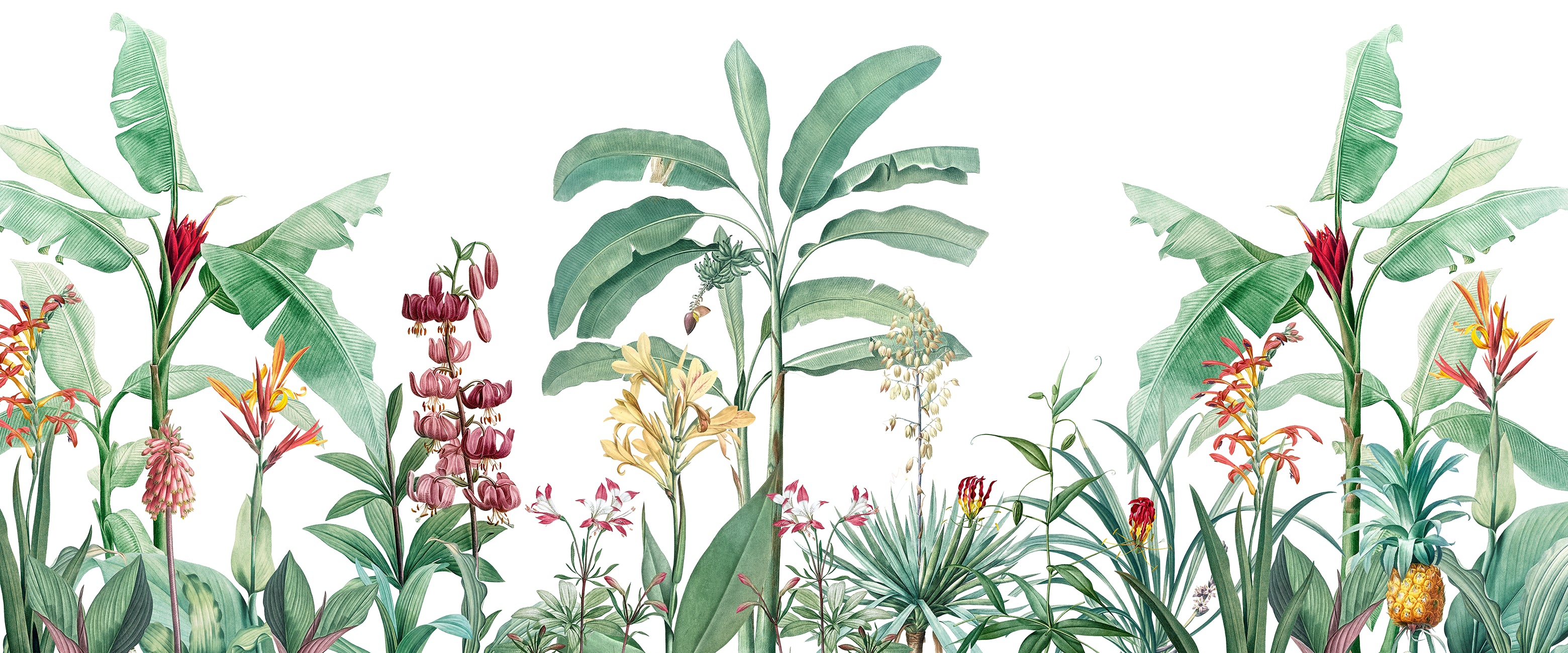 Papier peint panoramique jungle tropicale botanique