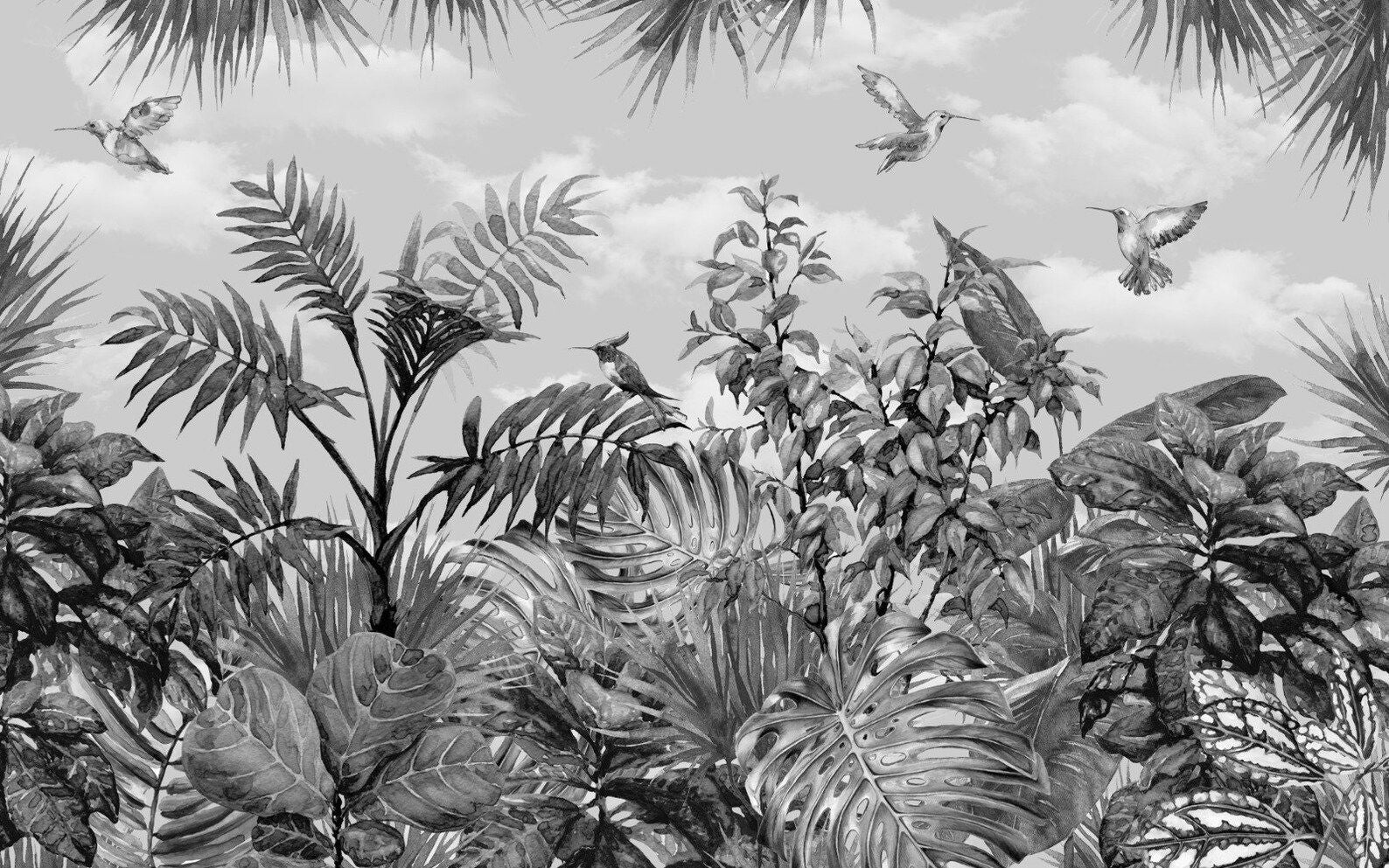 Papier peint panoramique jungle tropicale noir et blanc