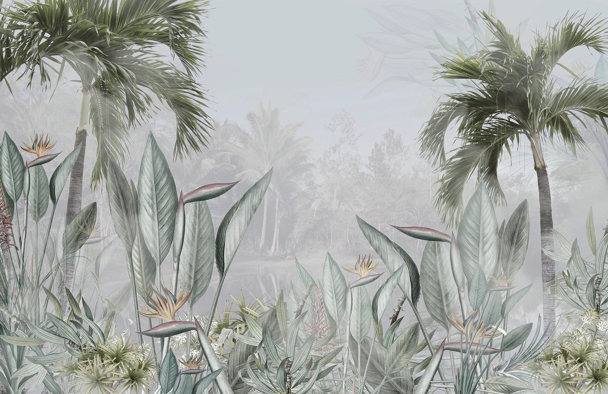 Papier peint panoramique Jungle tropicale Strelitzia