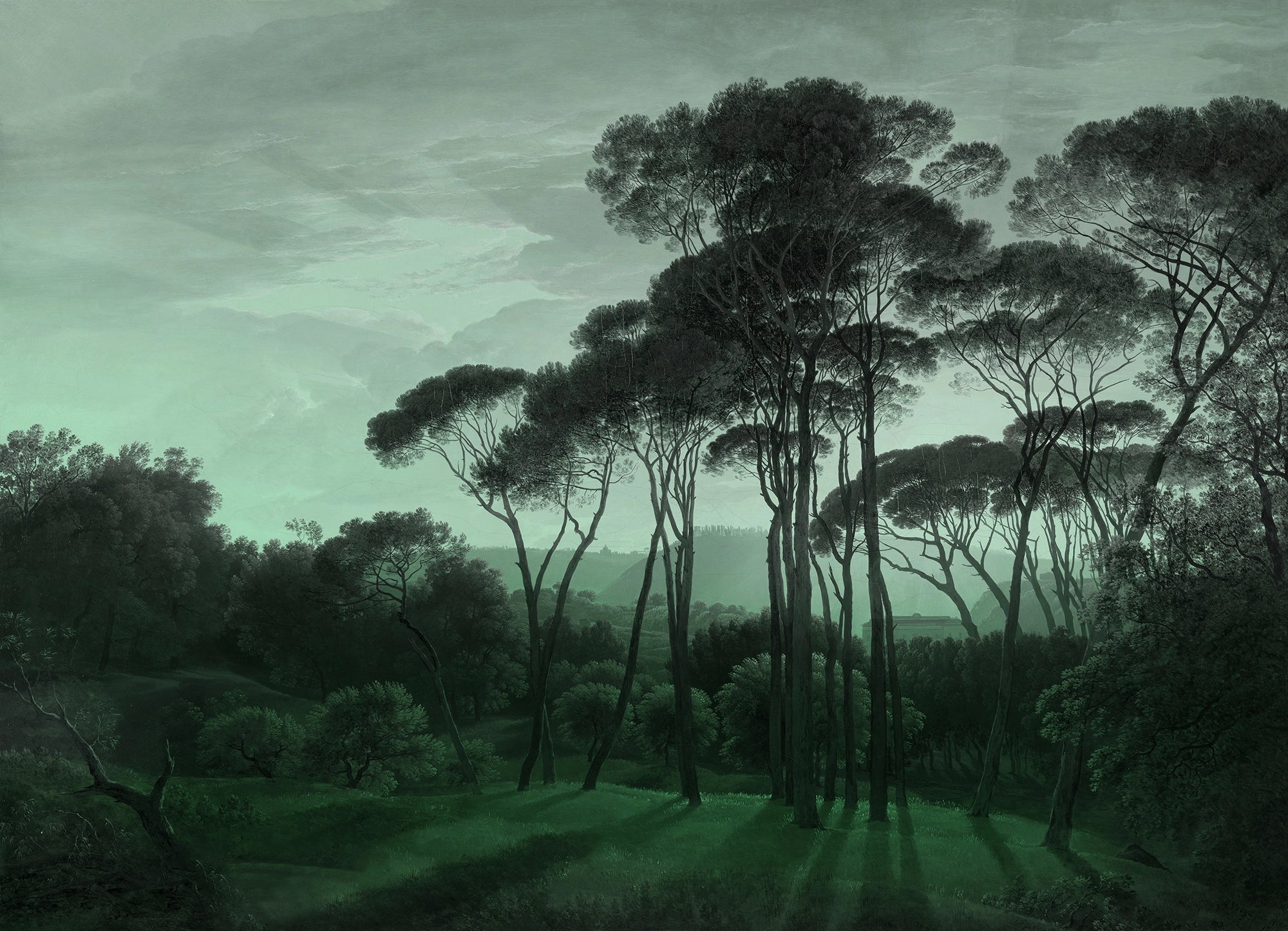 Papier peint panoramique pin parasol Vert nocturne