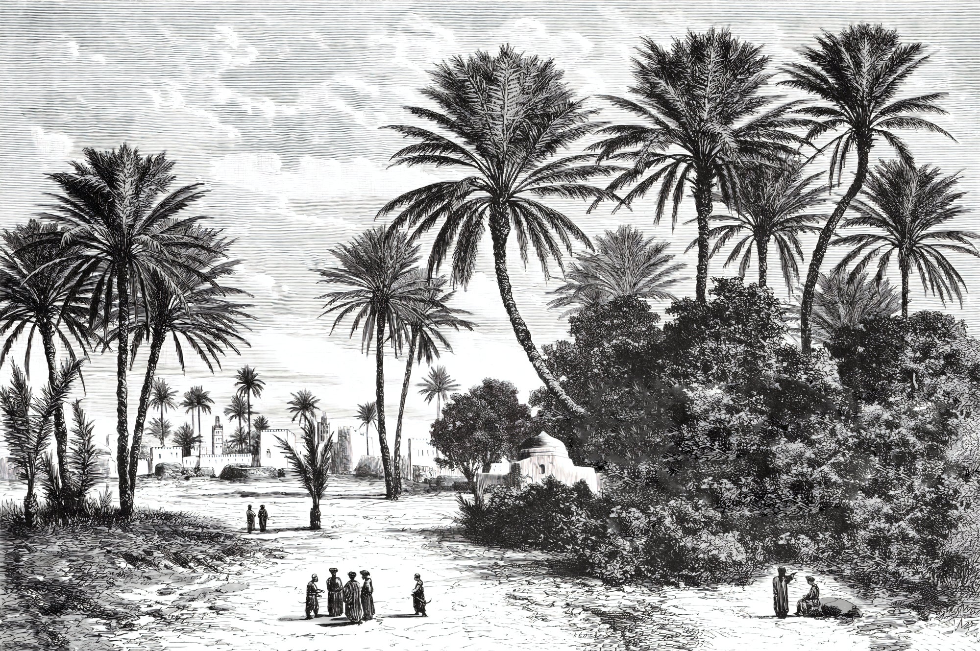 Papier peint panoramique plage tropicale noir et blanc